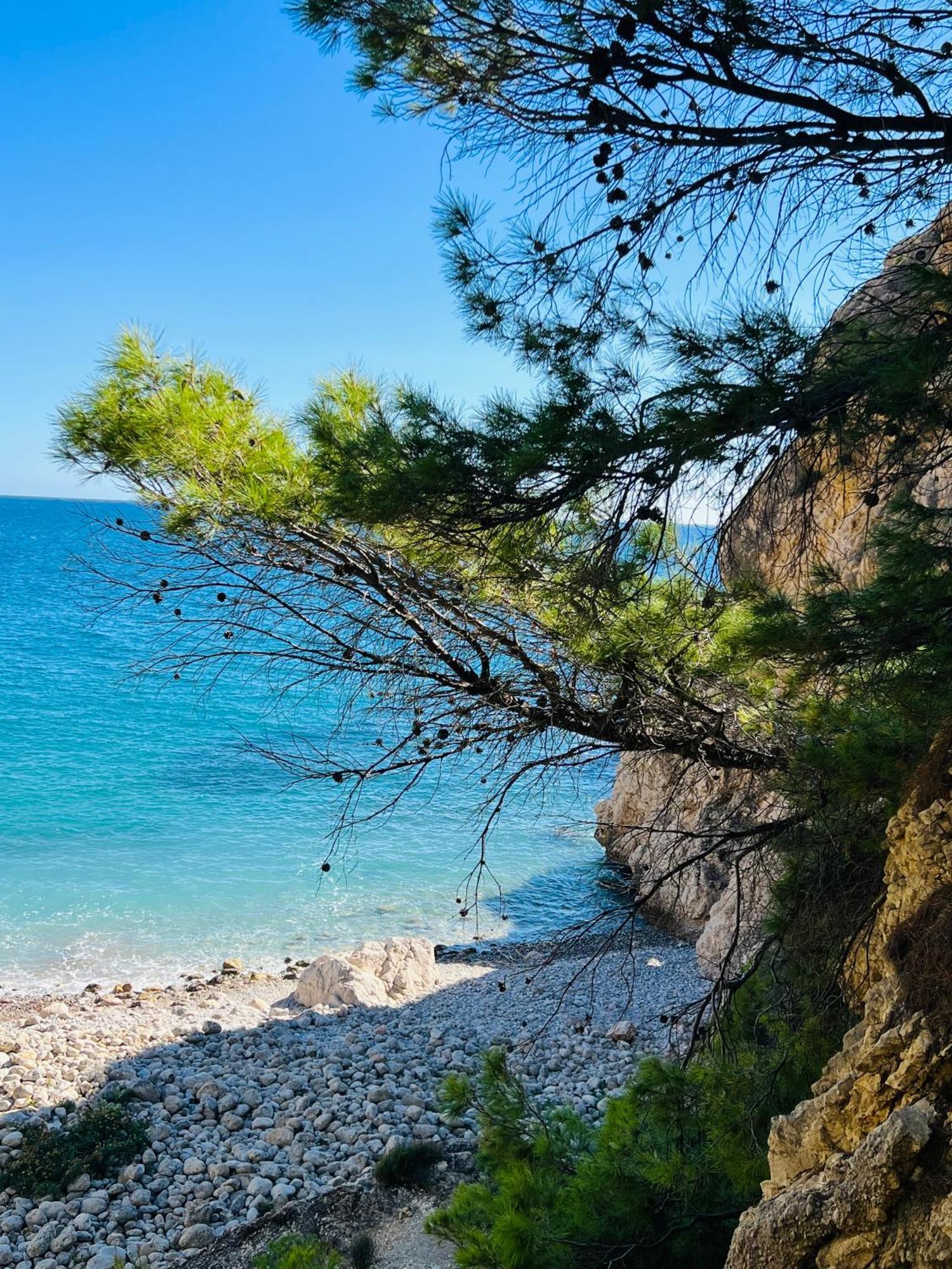 알리칸테 Luxury - Atico En Altea Hills 아파트 외부 사진